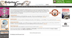 Desktop Screenshot of hedgehogcentral.com